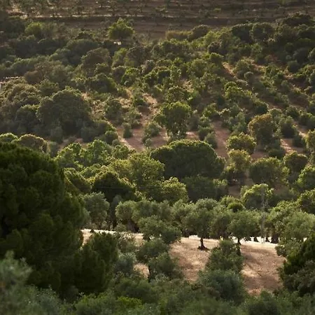 Lagar La Pizarra 特鲁希略