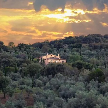 Lagar La Pizarra 特鲁希略