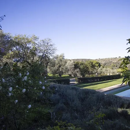 Lagar La Pizarra 特鲁希略