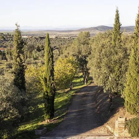 Lagar La Pizarra 特鲁希略