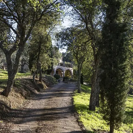 Lagar La Pizarra Trujillo