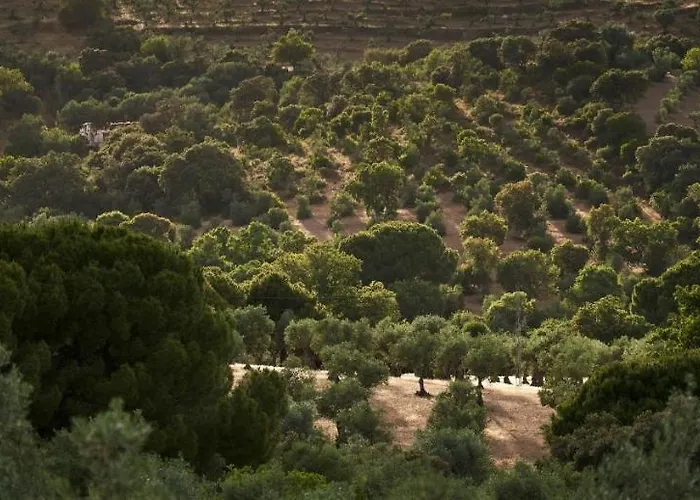 Lagar La Pizarra Trujillo