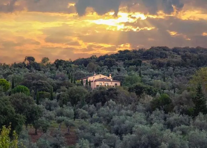 Lagar La Pizarra Trujillo