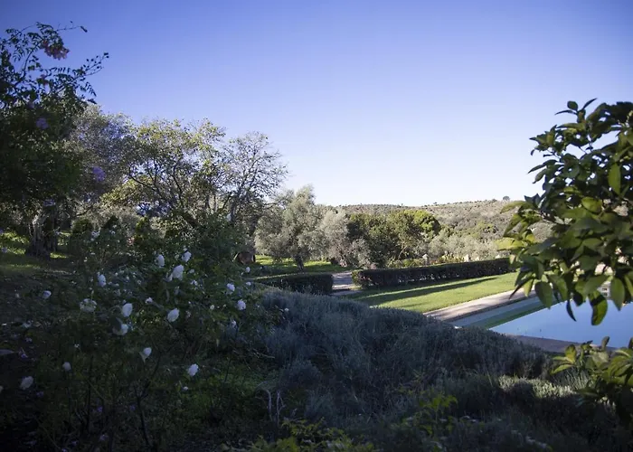 Lagar La Pizarra Trujillo