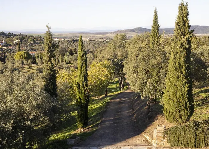 Lagar La Pizarra Trujillo