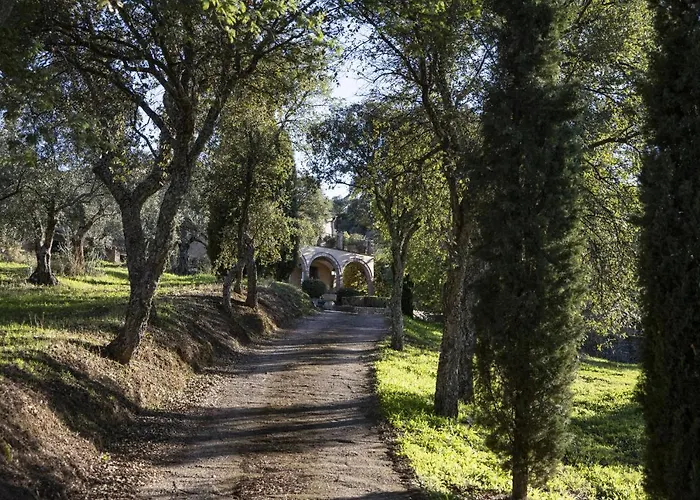 Lagar La Pizarra Trujillo